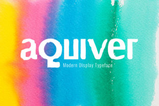 Choosing Aquiver: A Display Font That Elevates Modern Web Design