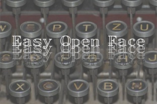 Easy Open Face: A Premium Display Font for Small Business Branding