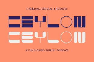 How Choosing the Ceylon Font Duo Gave My Café Brand a Fresh, Polished Look