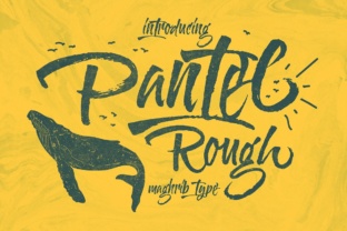 Pantel Rough: A Bold Display Font for Web Design